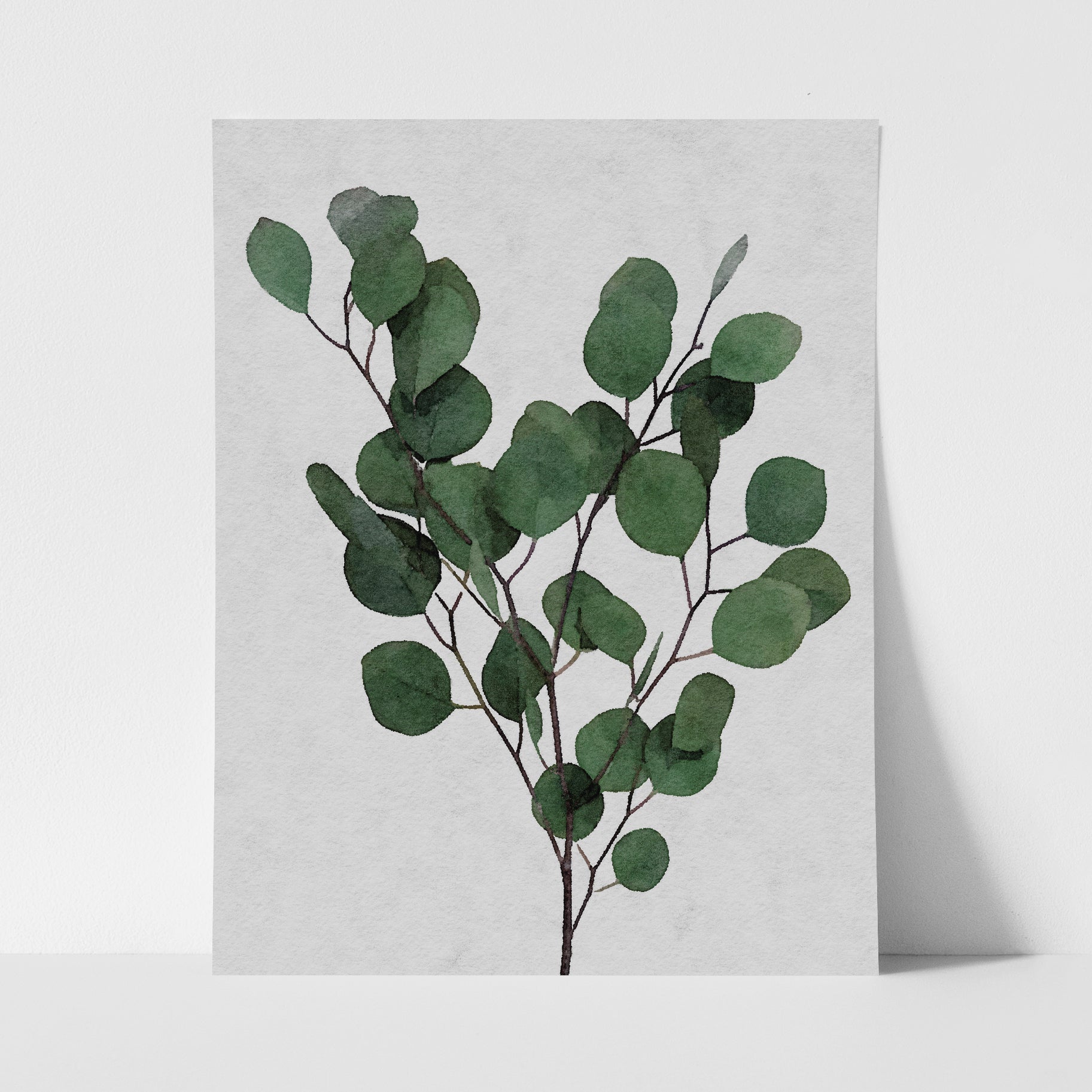 Eucalyptus Leaf Stem Green - Art Print